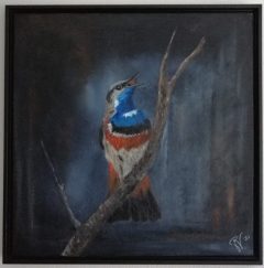 Blauwborst-2-1013x1024
