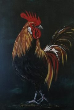 dav